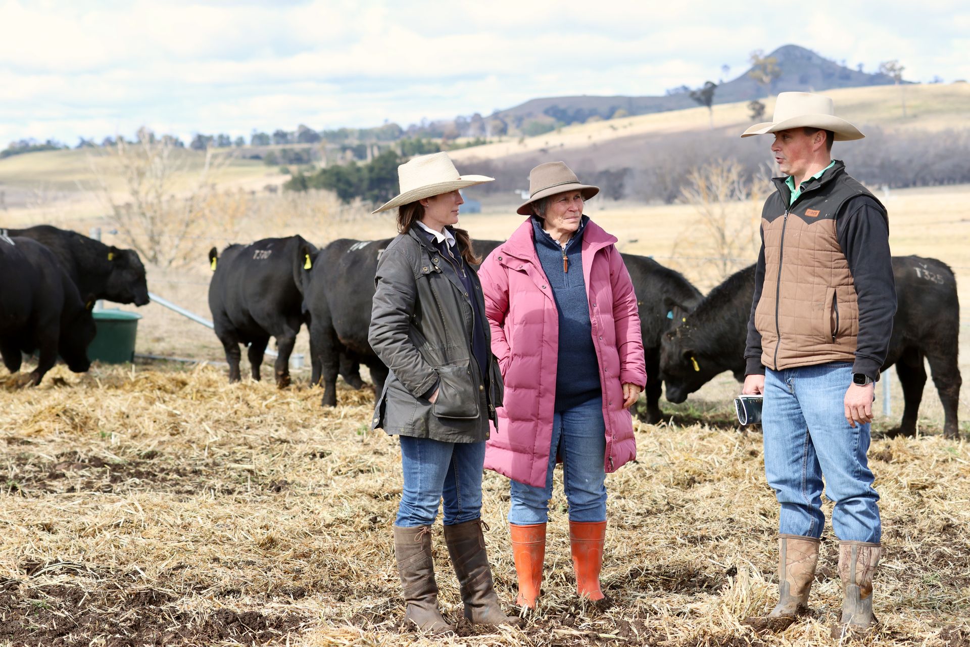 Bald Blair Angus Stud. Bull Sale Tuesday 5th August 2025.