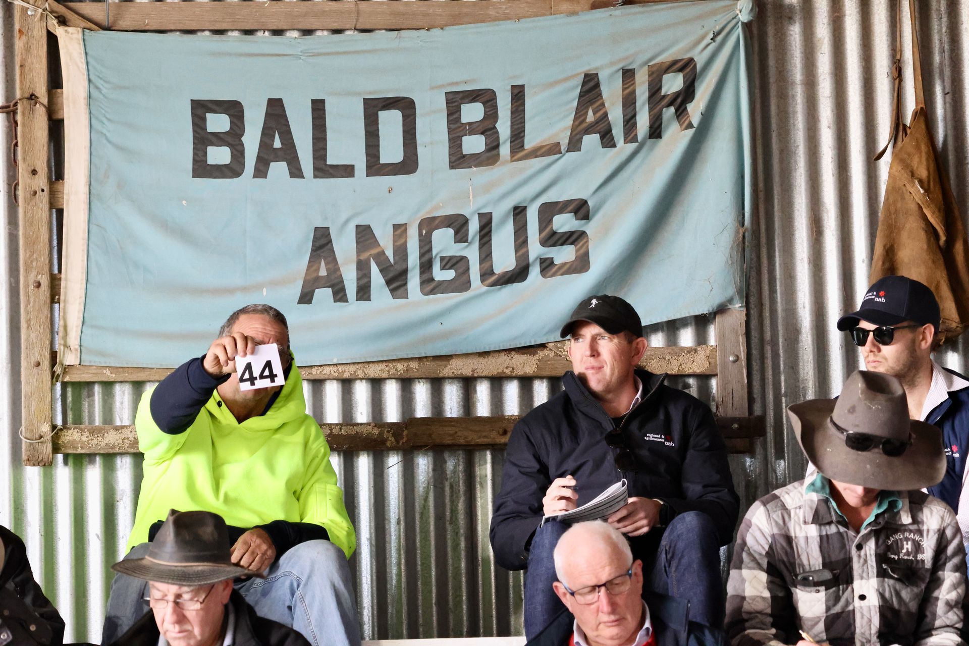 Bald Blair Angus Stud. Bull Sale Tuesday 5th August 2025.