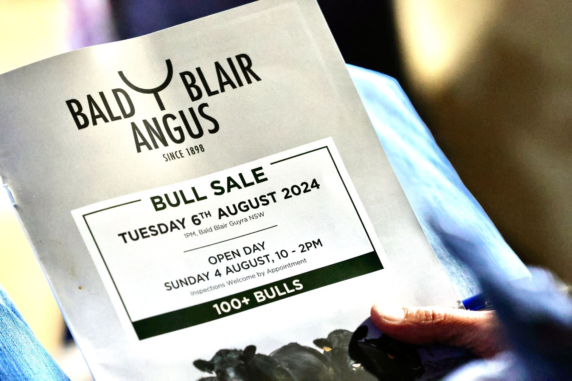 Bald Blair Angus Stud. Bull Sale Tuesday 5th August 2025.