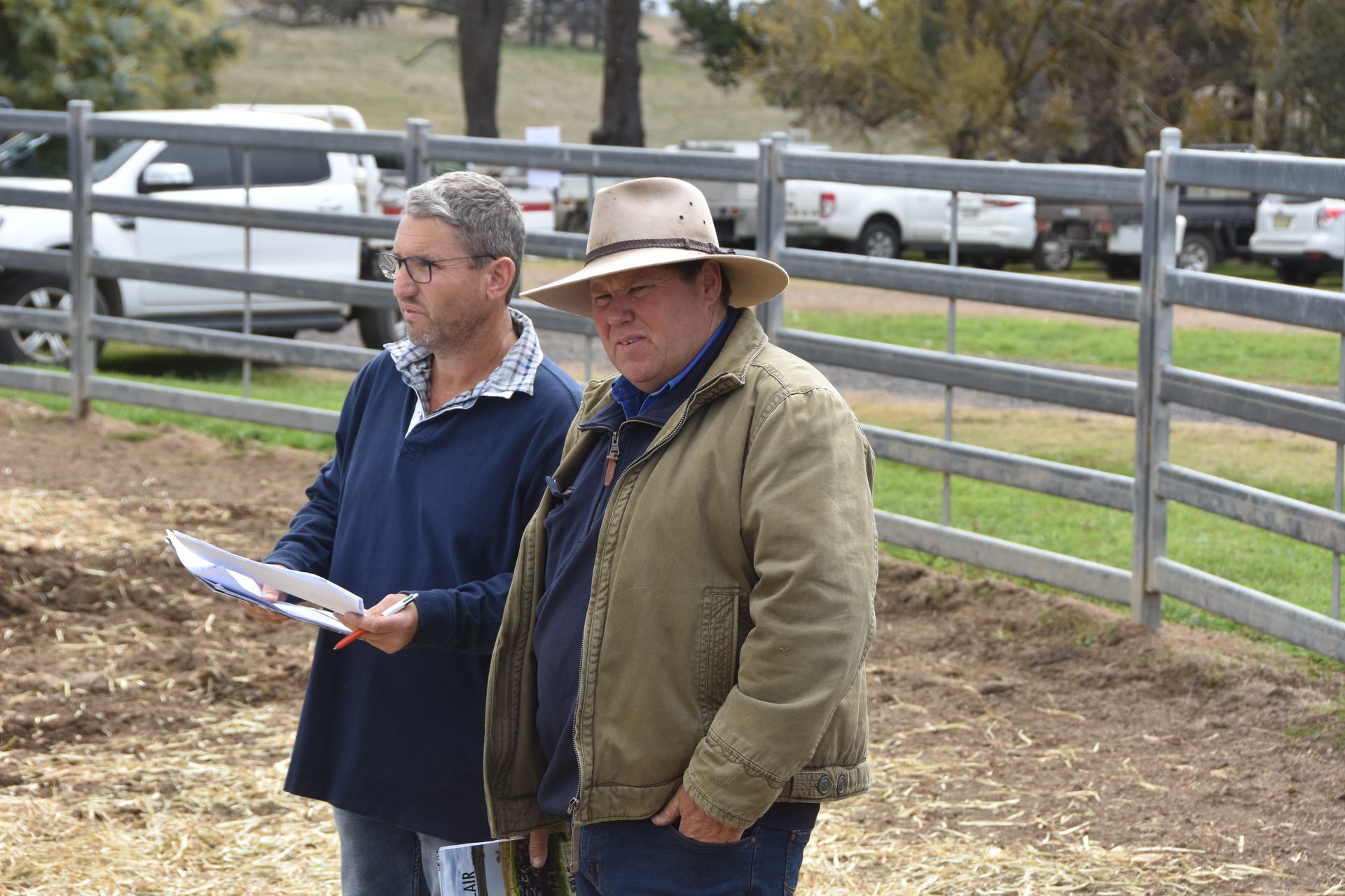 Bald Blair Angus Stud. Bull Sale Tuesday 5th August 2025.