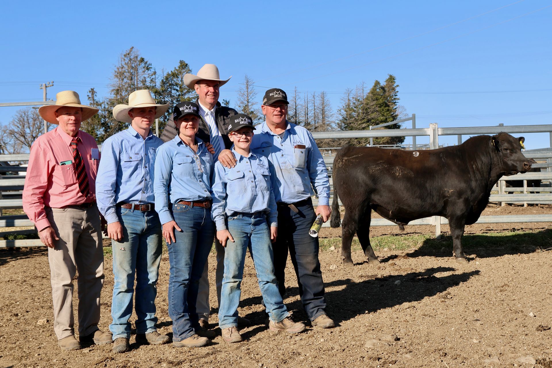 Bald Blair Angus Stud: Bull Sale Tuesday 5th August 2025
