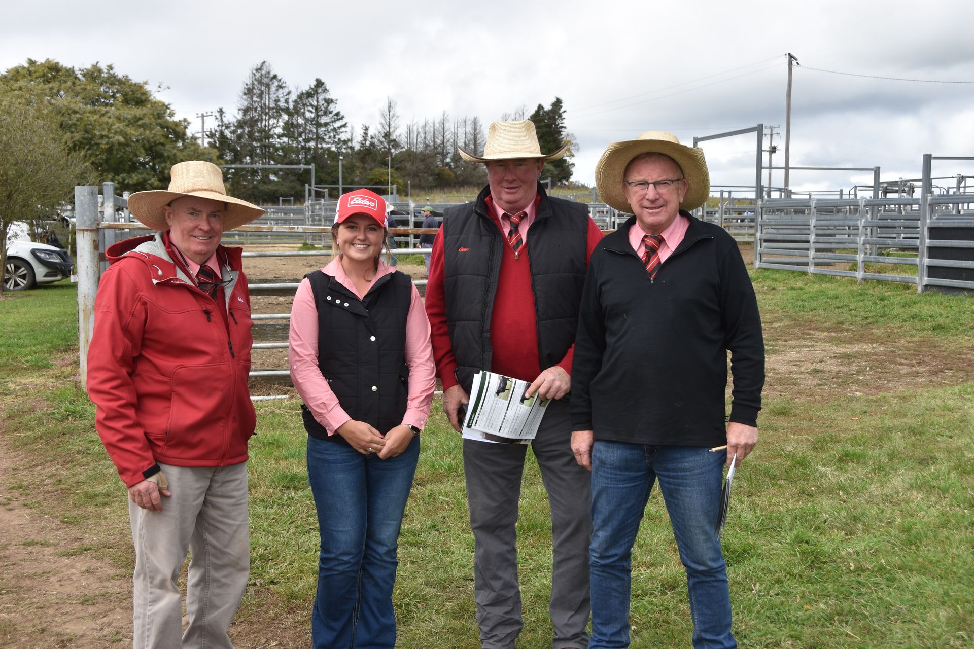 Bald Blair Angus Stud. Bull Sale Tuesday 5th August 2025.