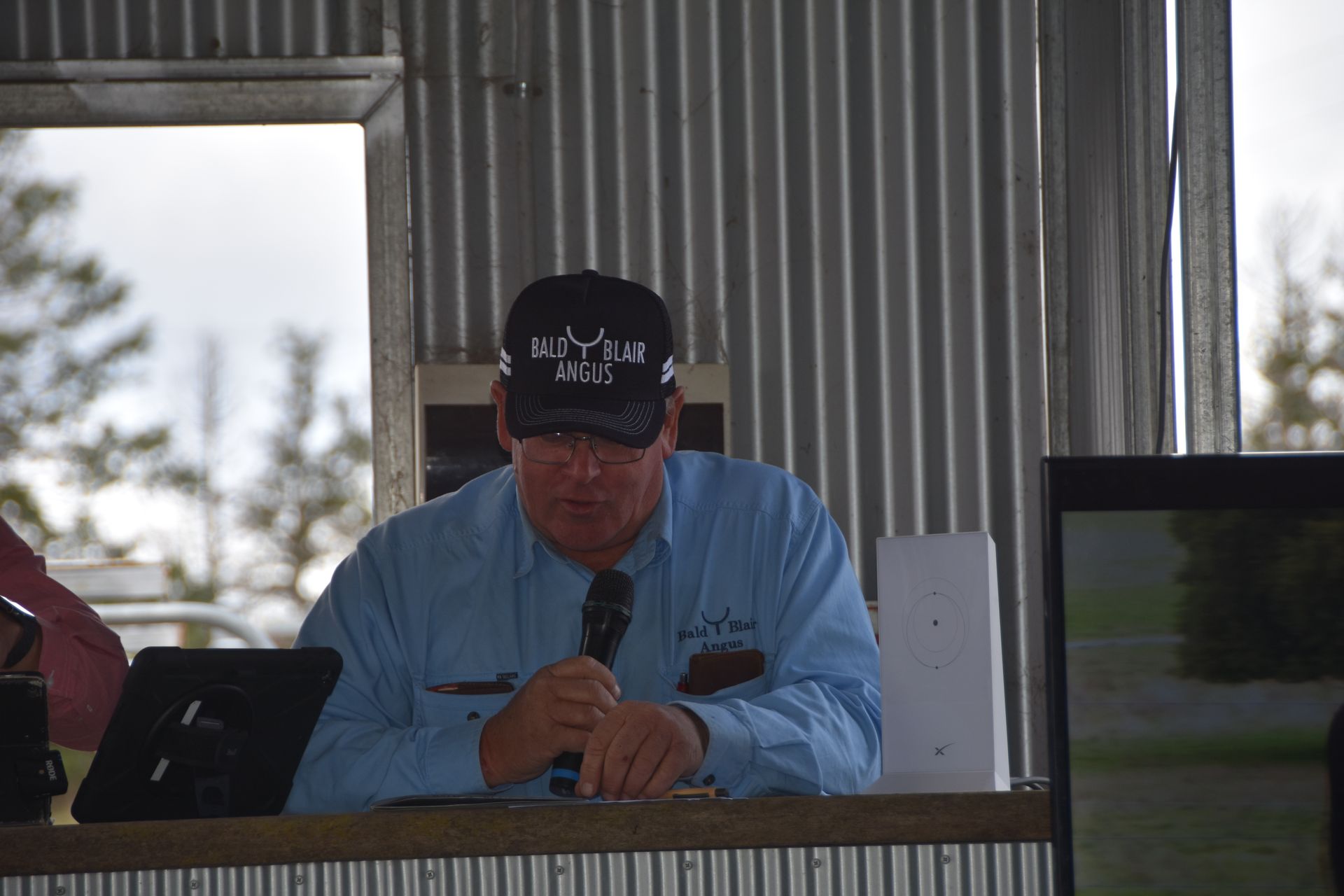 Bald Blair Angus Stud. Bull Sale Tuesday 5th August 2025.