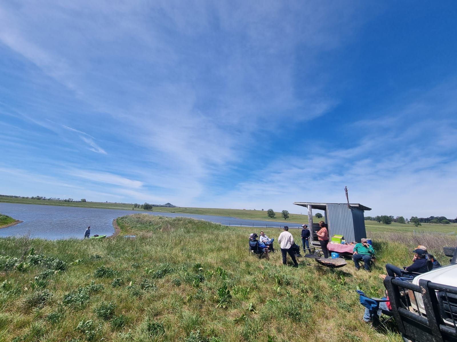 Bald Blair Angus Stud. Bull Sale Tuesday 5th August 2025.