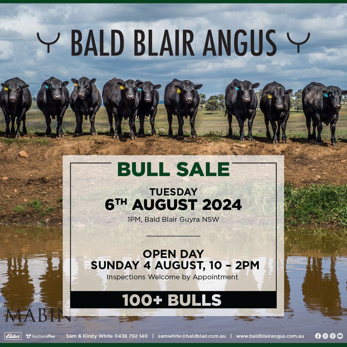 Bald Blair Angus Stud: Bull Sale Tuesday 5th August 2025