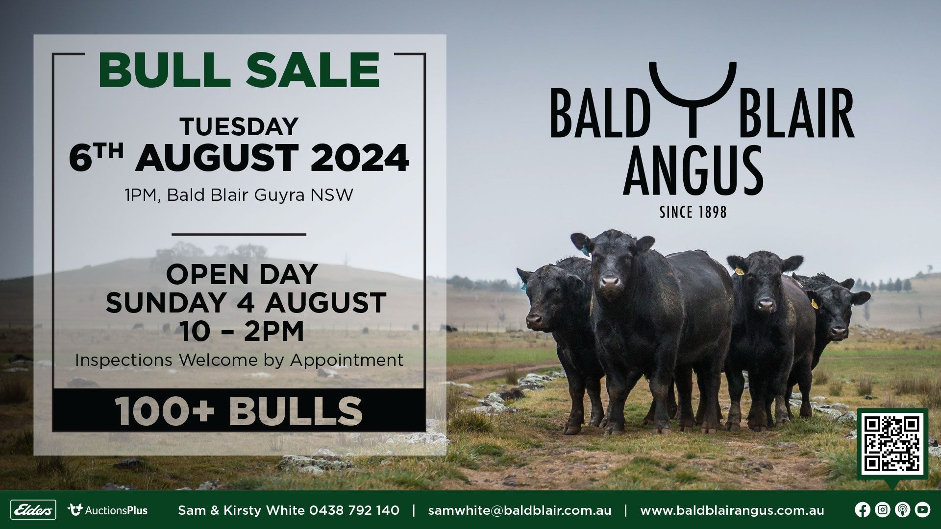 🌟 The Boundary Rider’s Short Report: July 2024 🌟 📅 Join Us for the Bull Sale on 6th August! 