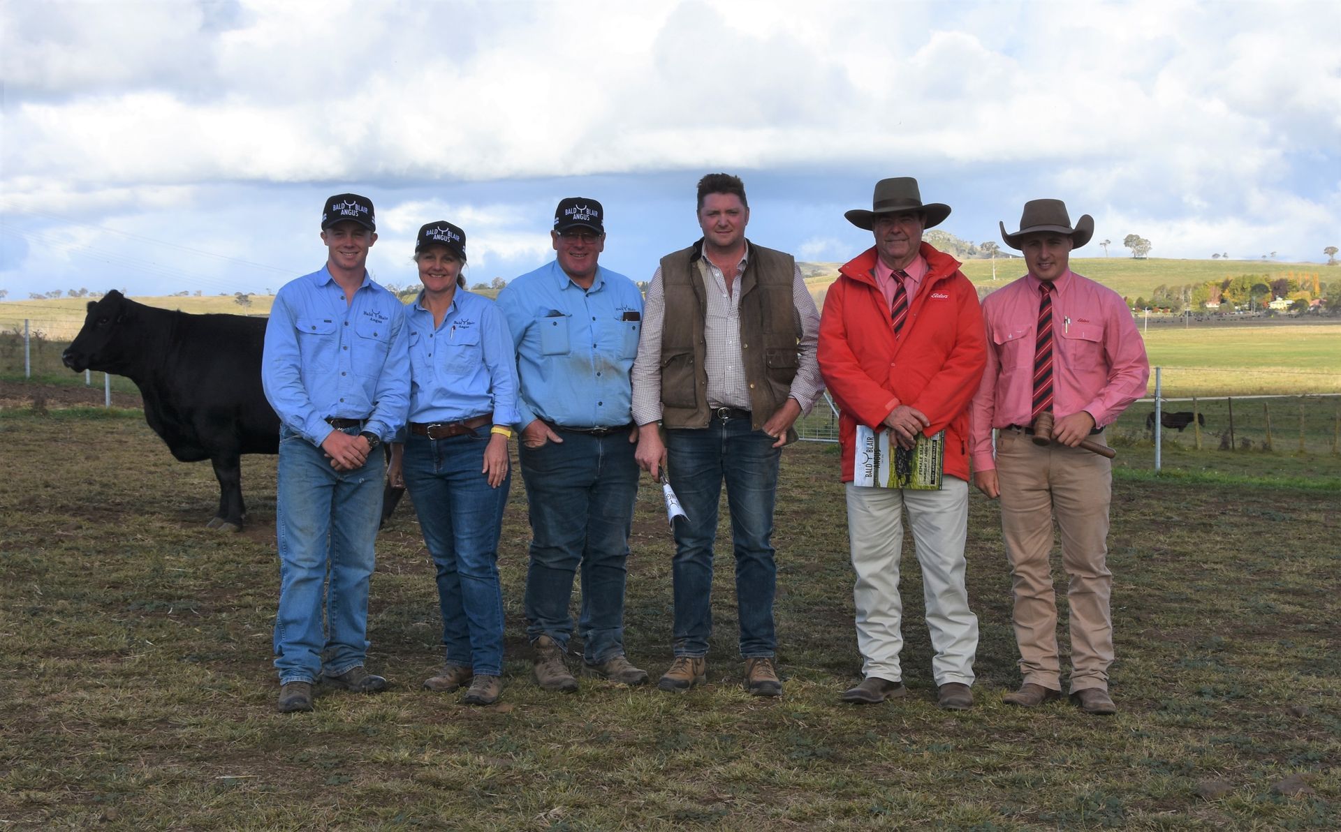 Bald Blair Angus Stud. Bull Sale Tuesday 5th August 2025.