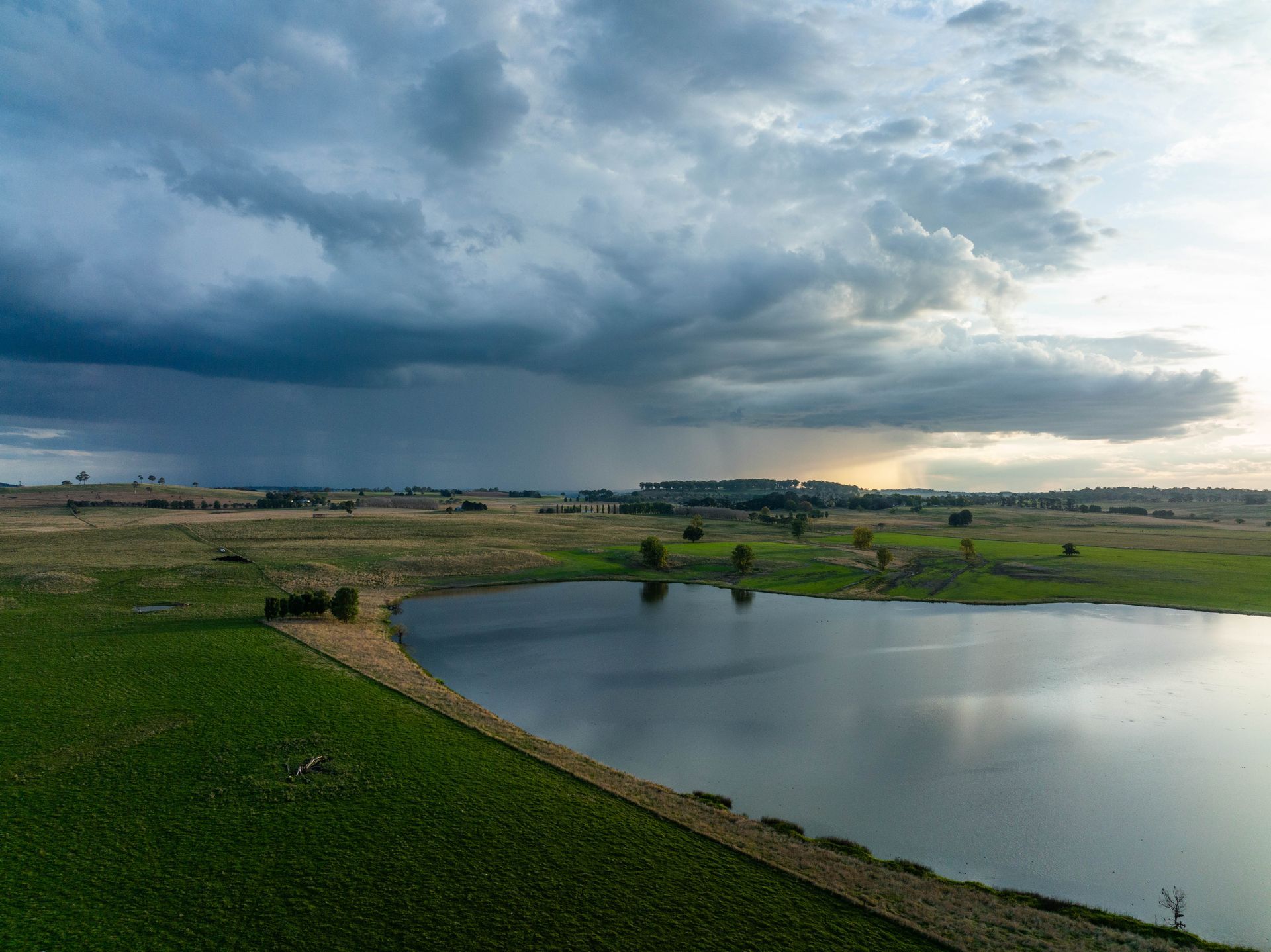 Bald Blair Angus Stud: Bull Sale Tuesday 5th August 2025