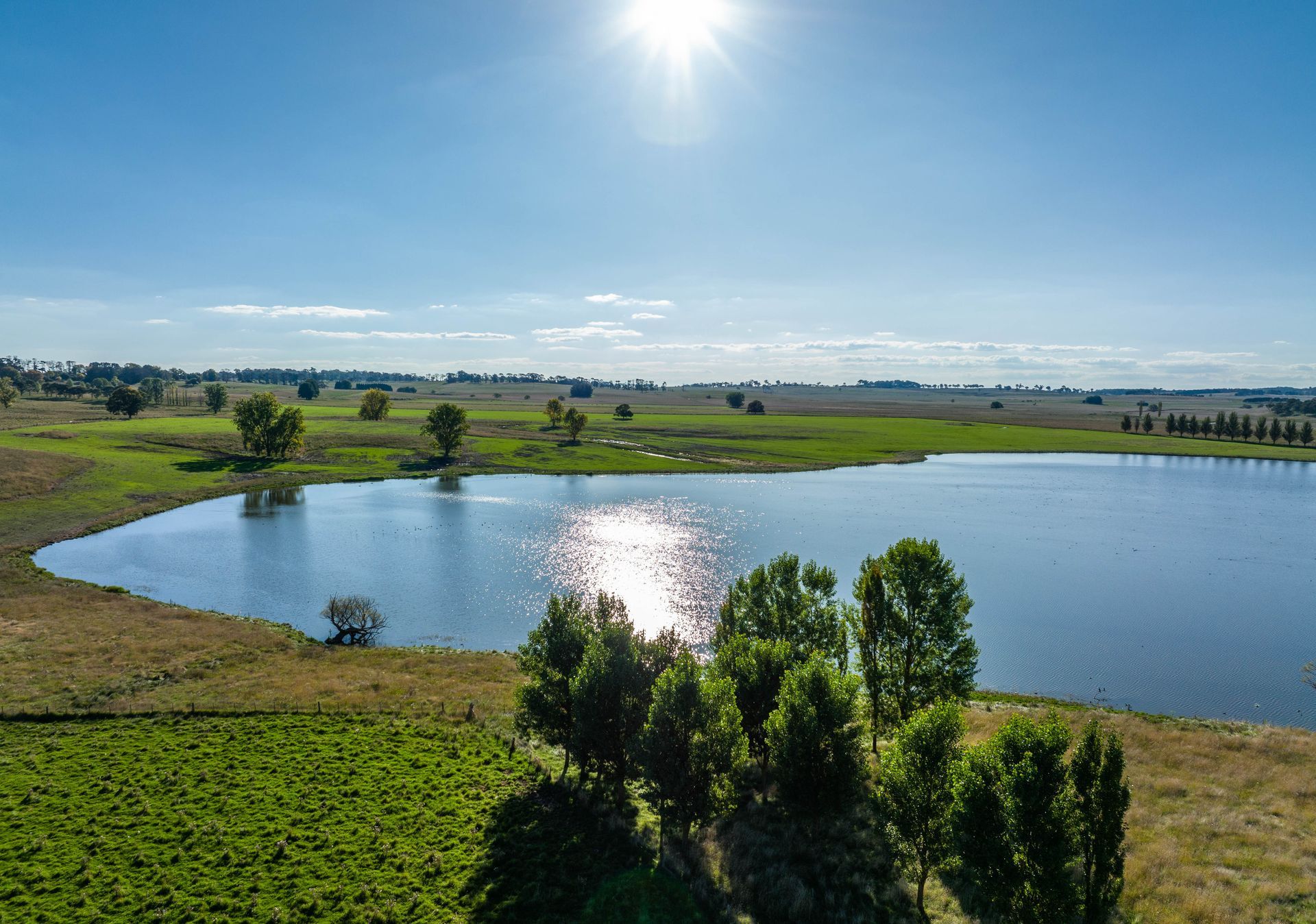 Bald Blair Angus Stud: Bull Sale Tuesday 5th August 2025