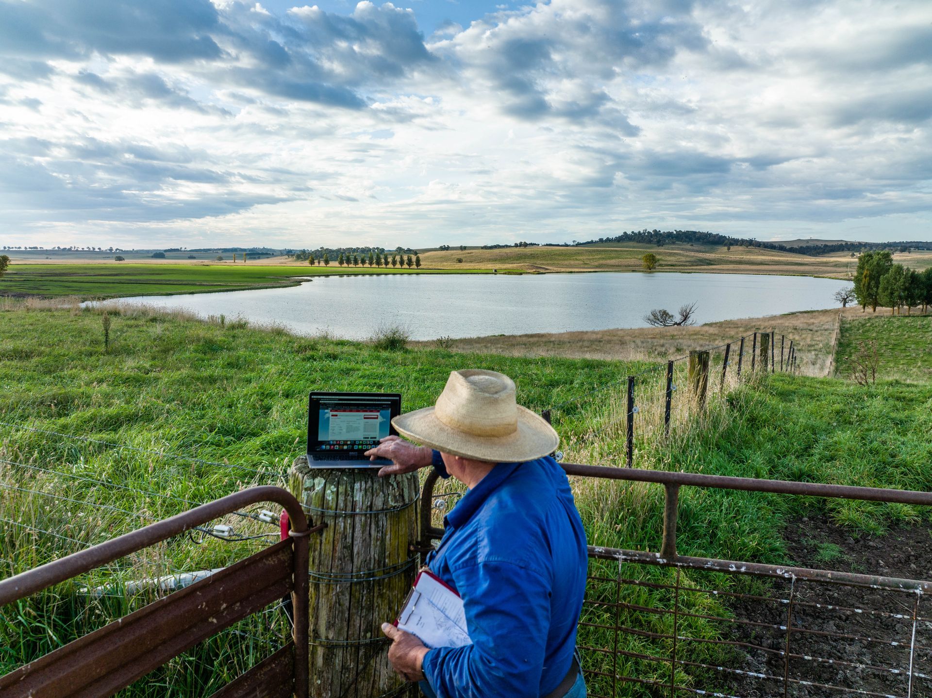 Bald Blair Angus Stud: Bull Sale Tuesday 5th August 2025