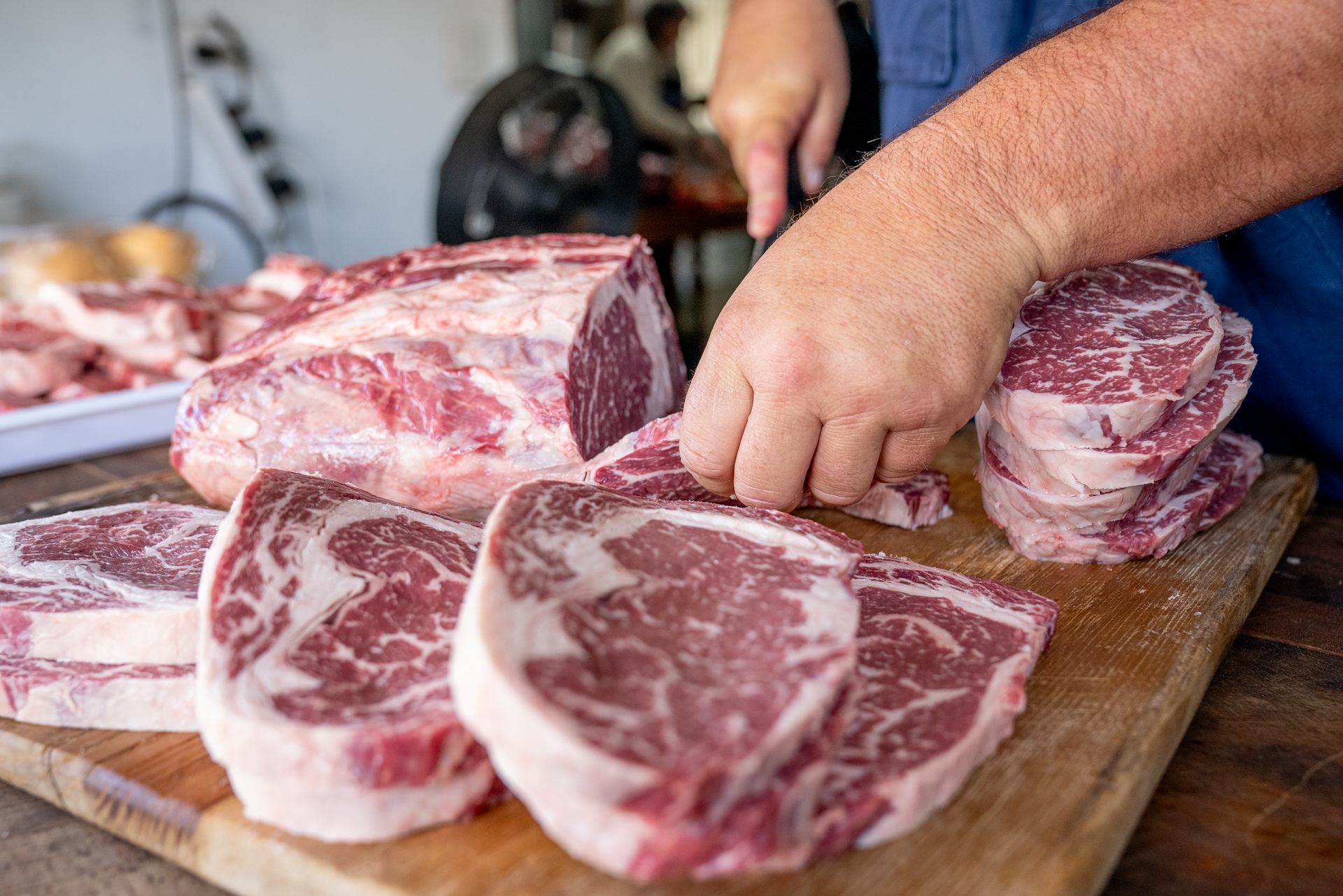 An update from Bald Blair Angus. Details about our team, our eason, market, cattle, sheep, events.