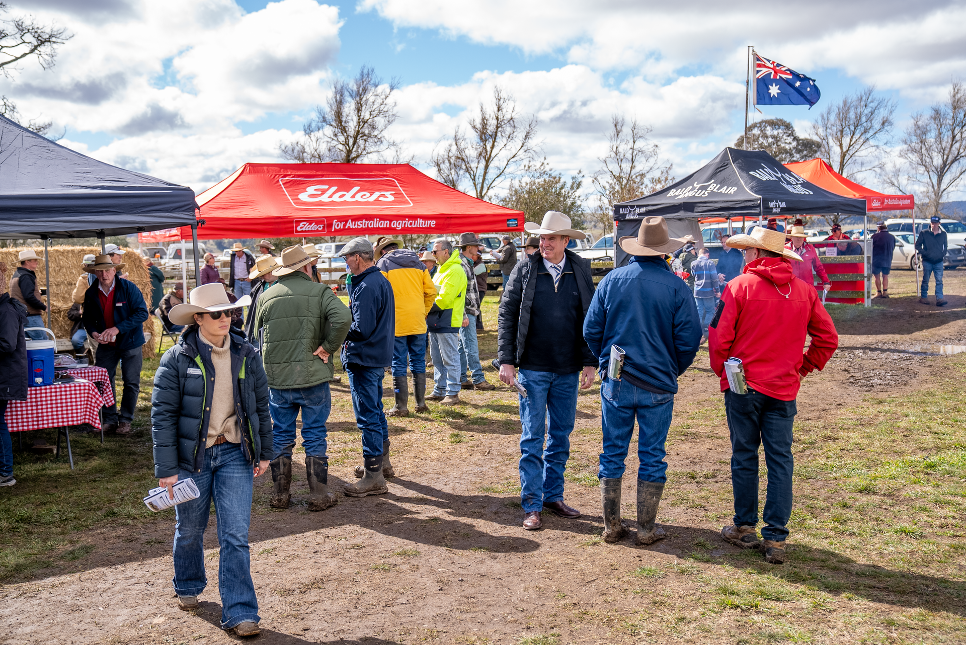Bald Blair Angus Stud. Bull Sale Tuesday 5th August 2025.