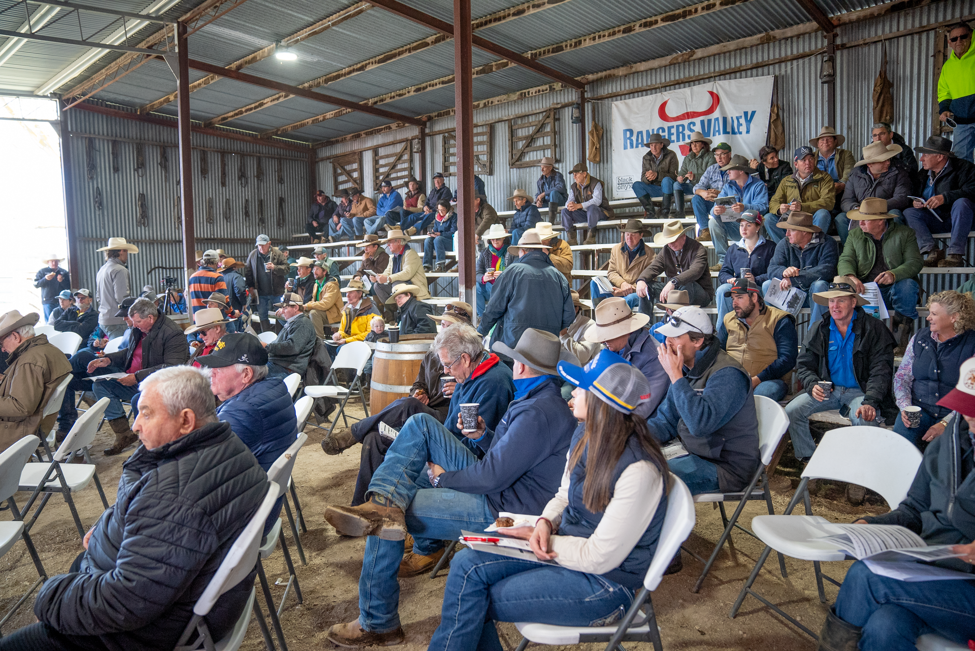 Bald Blair Angus Stud. Bull Sale Tuesday 5th August 2025.