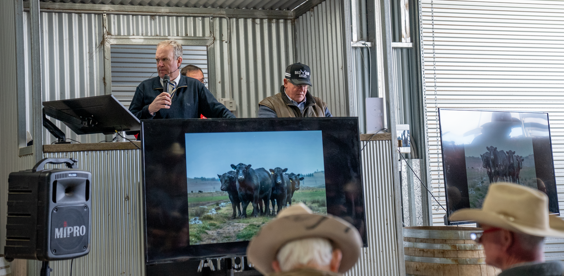 Bald Blair Angus Stud. Bull Sale Tuesday 5th August 2025.