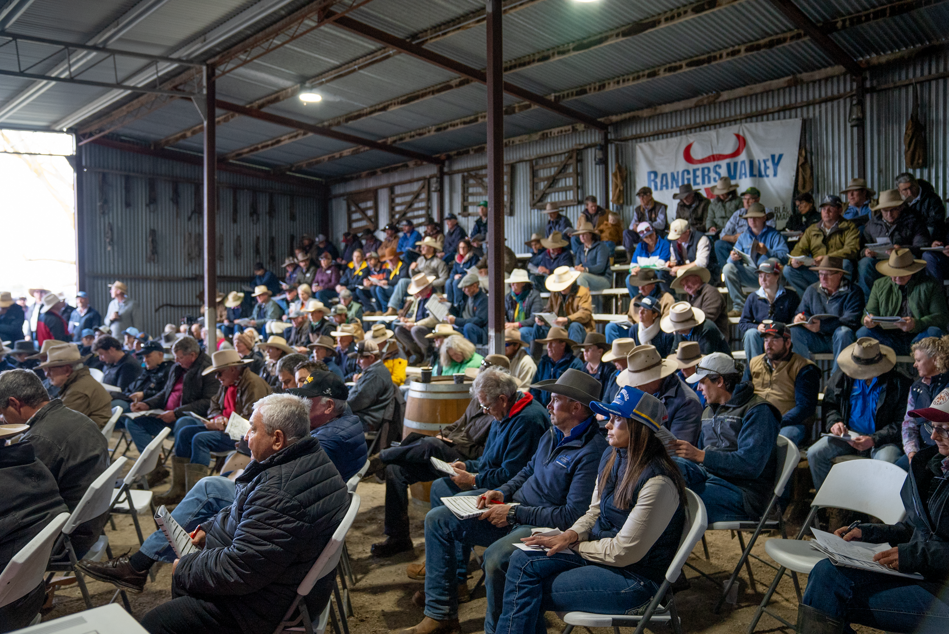 Bald Blair Angus Stud. Bull Sale Tuesday 5th August 2025.