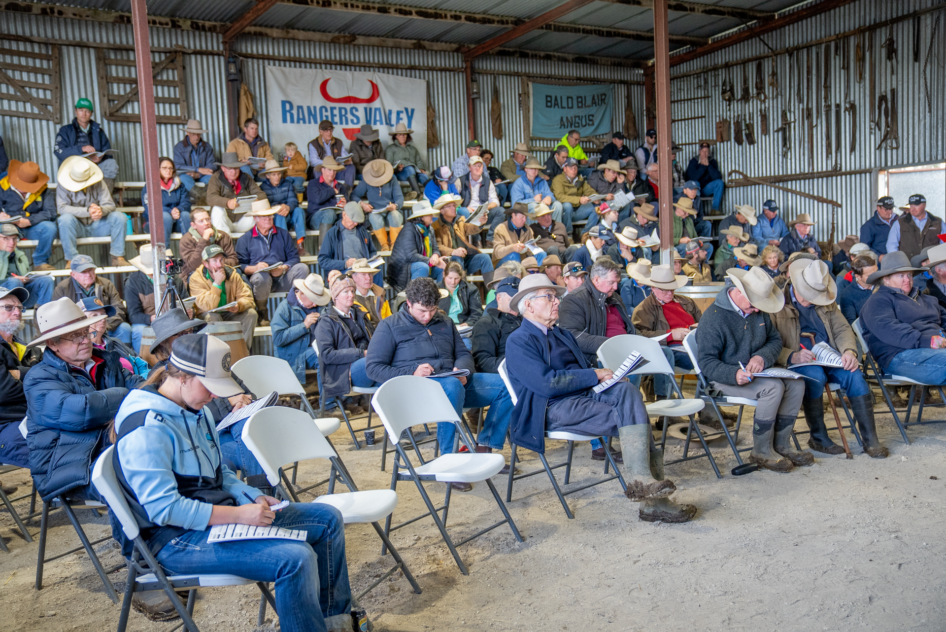 Bald Blair Angus Stud. Bull Sale Tuesday 5th August 2025.