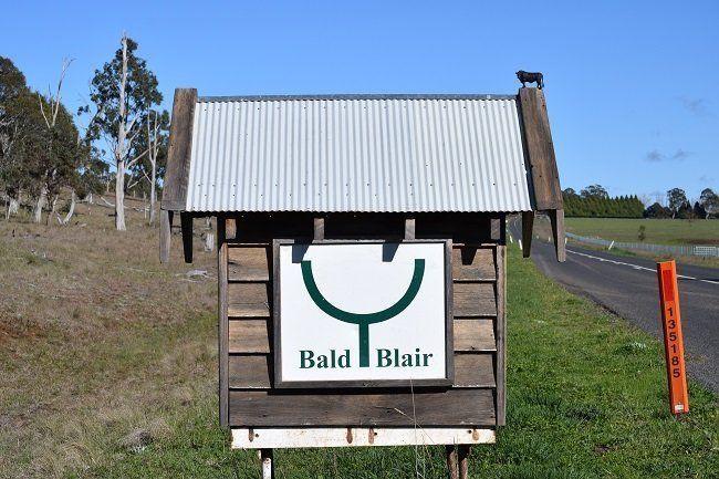 Bald Blair mailbox