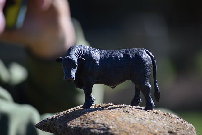 Bald Blair Earl the 5th