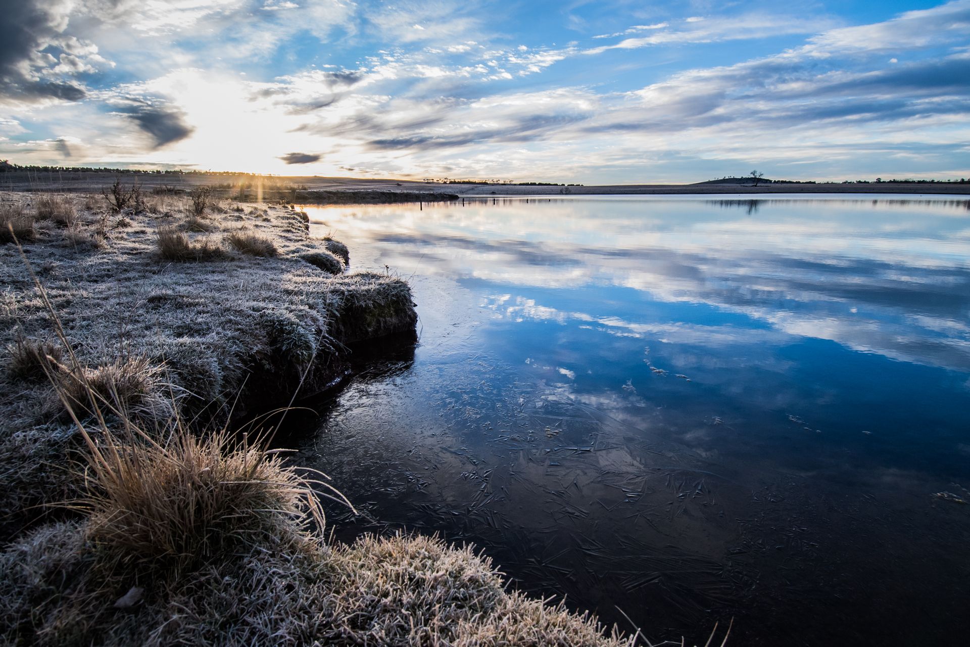 Bald Blair Angus Stud: Bull Sale Tuesday 5th August 2025