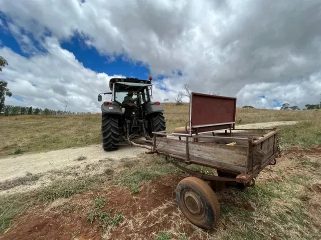 Bald Blair Angus Stud. Bull Sale Tuesday 5th August 2025.