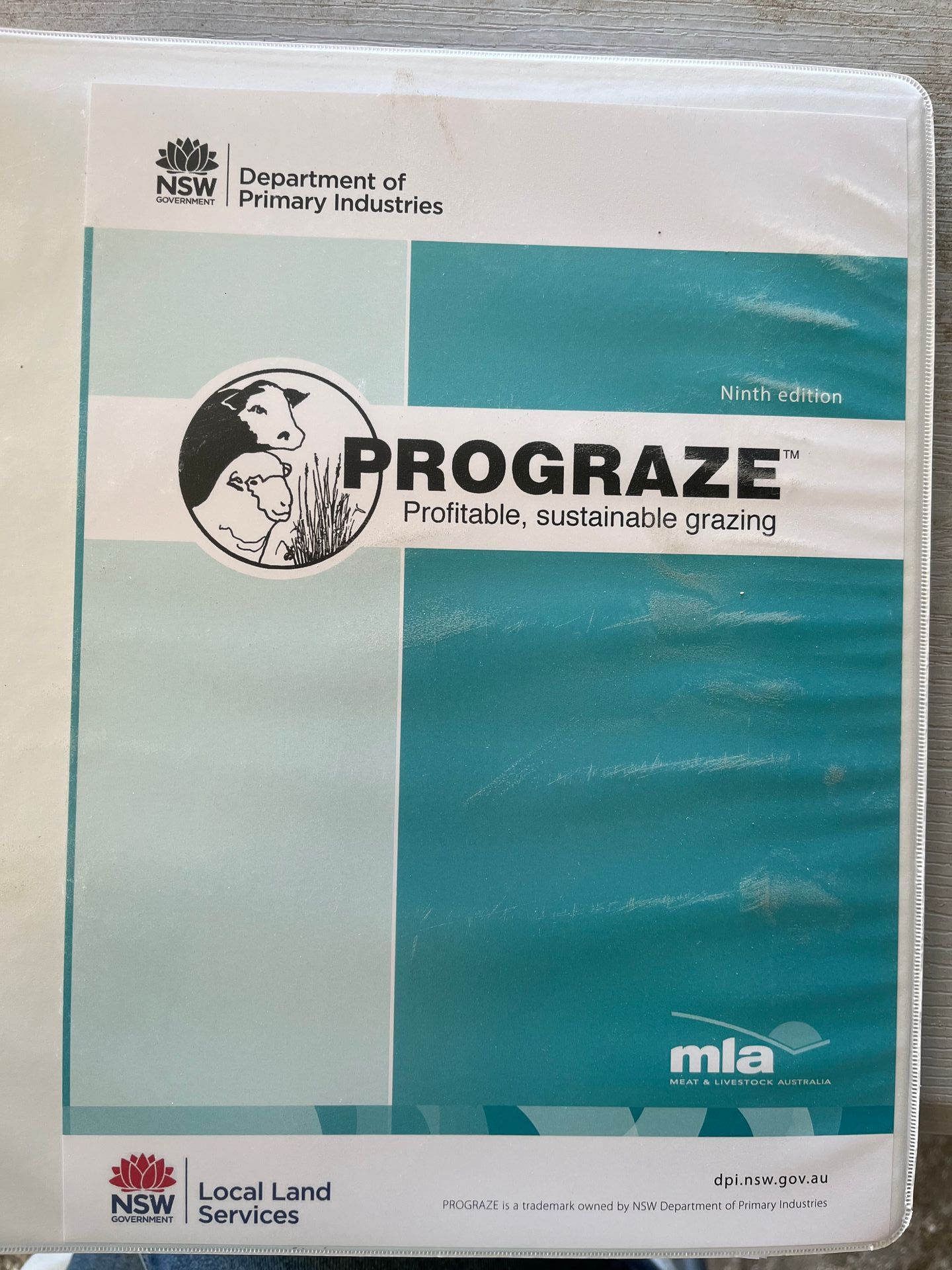 Bald Blair Angus Stud: Bull Sale Tuesday 5th August 2025
