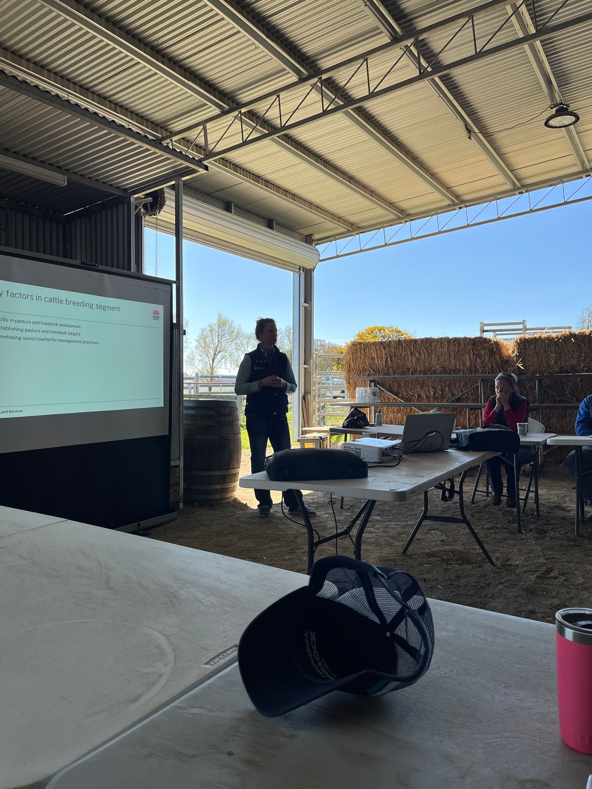 Bald Blair Angus Stud: Bull Sale Tuesday 5th August 2025