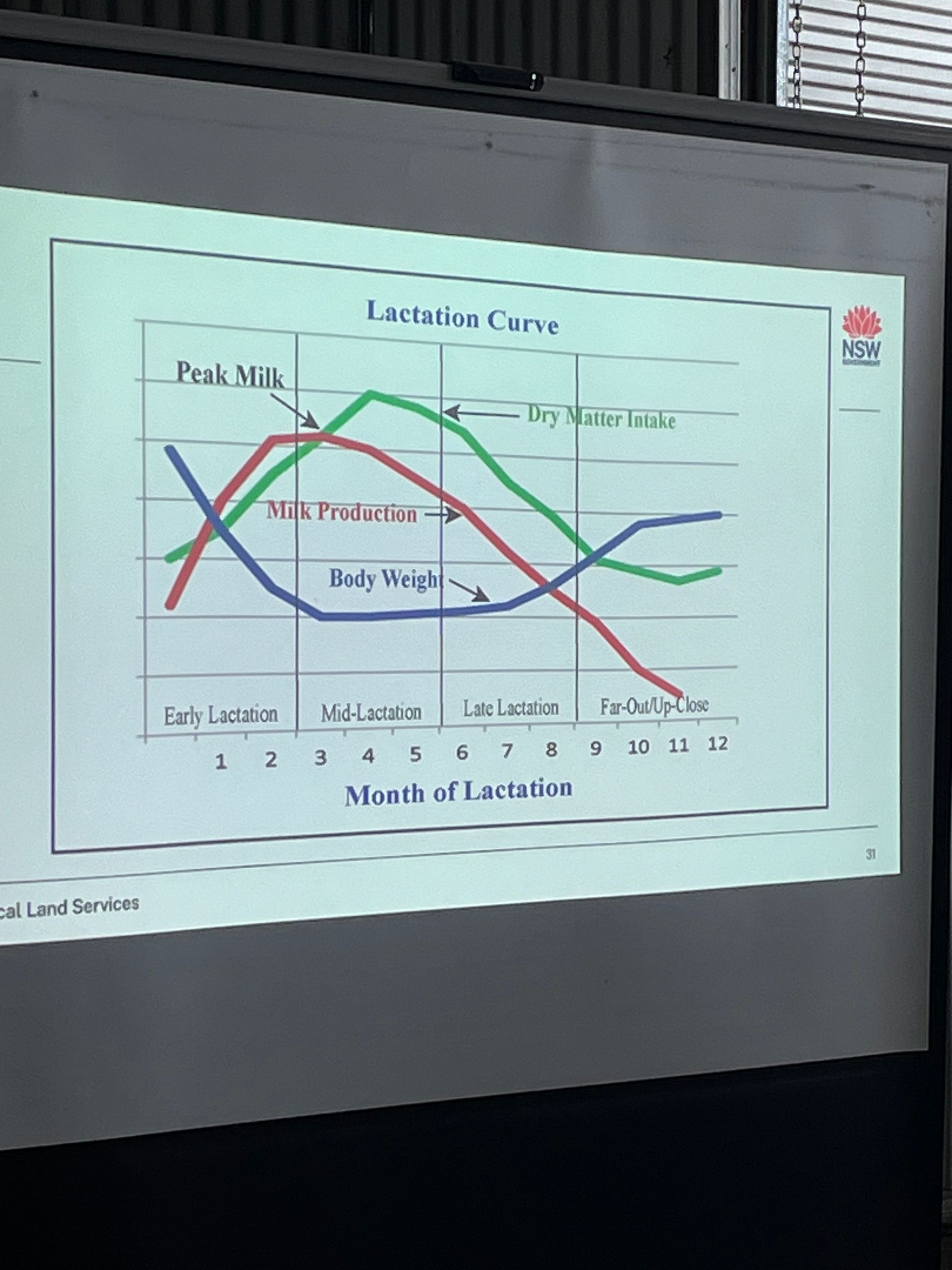 Bald Blair Angus Stud: Bull Sale Tuesday 5th August 2025
