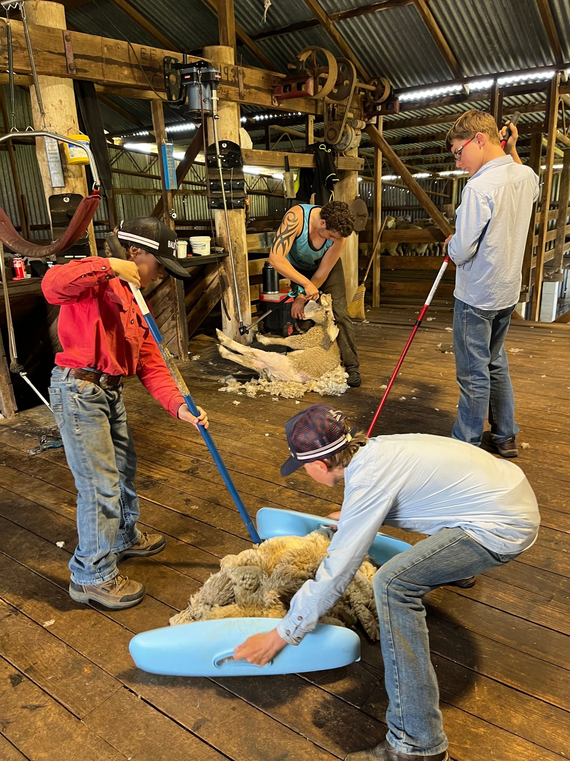 Bald Blair Angus school holidays