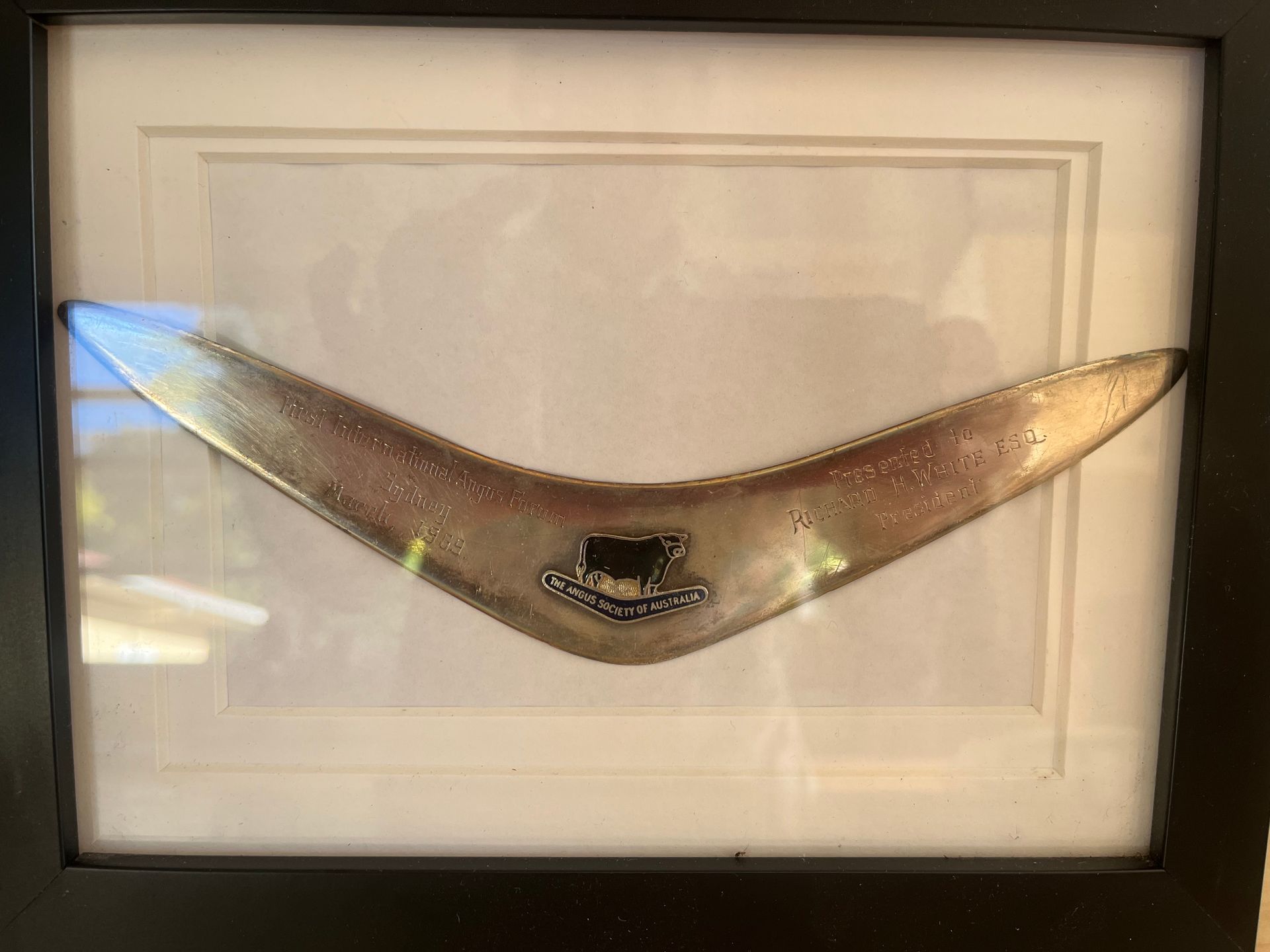 Bald Blair Angus - World Angus Forum momento to Richard White
