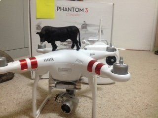 The Phantom 3 Drone