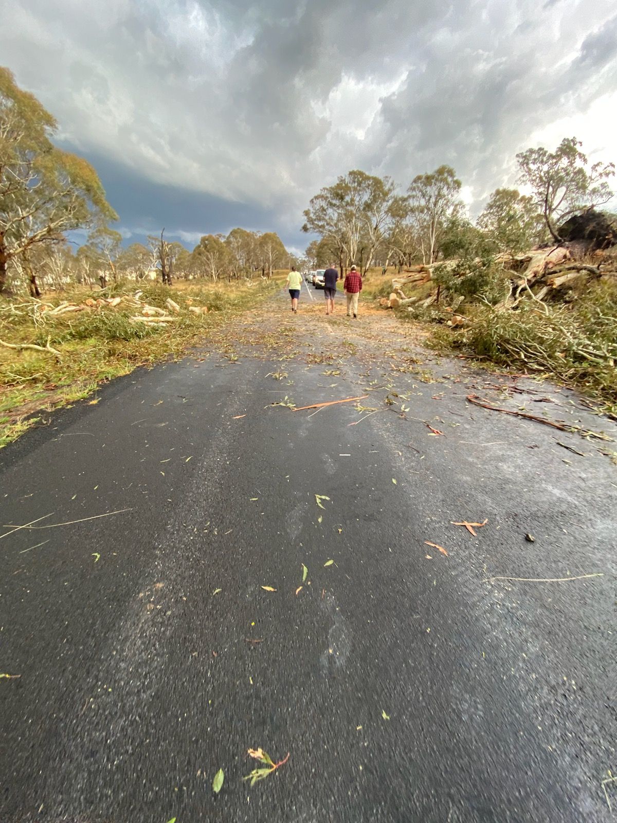 Guyra Road storm damage Jan 2025
