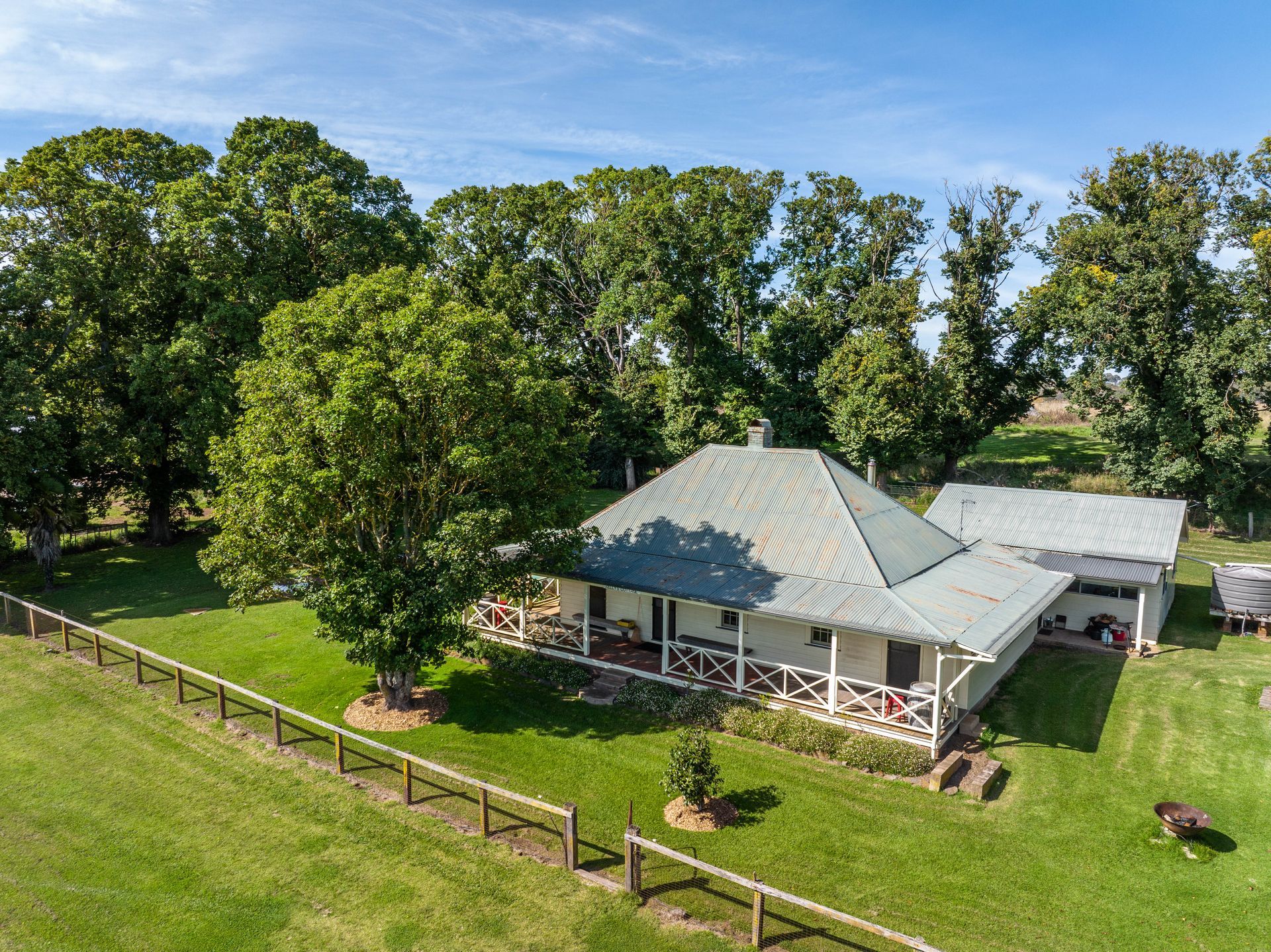 Bald Blair Angus Stud. Bull Sale Tuesday 5th August 2025.