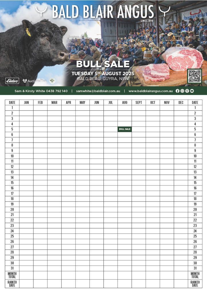 Bald Blair Angus Stud. Bull Sale Tuesday 5th August 2025.