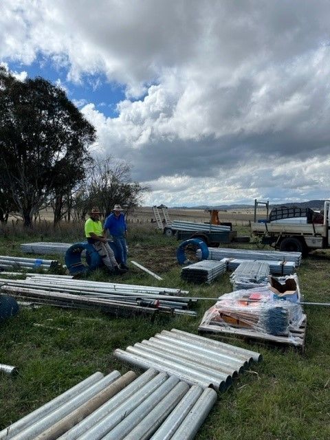 Bald Blair Angus Stud. Bull Sale Tuesday 5th August 2025.