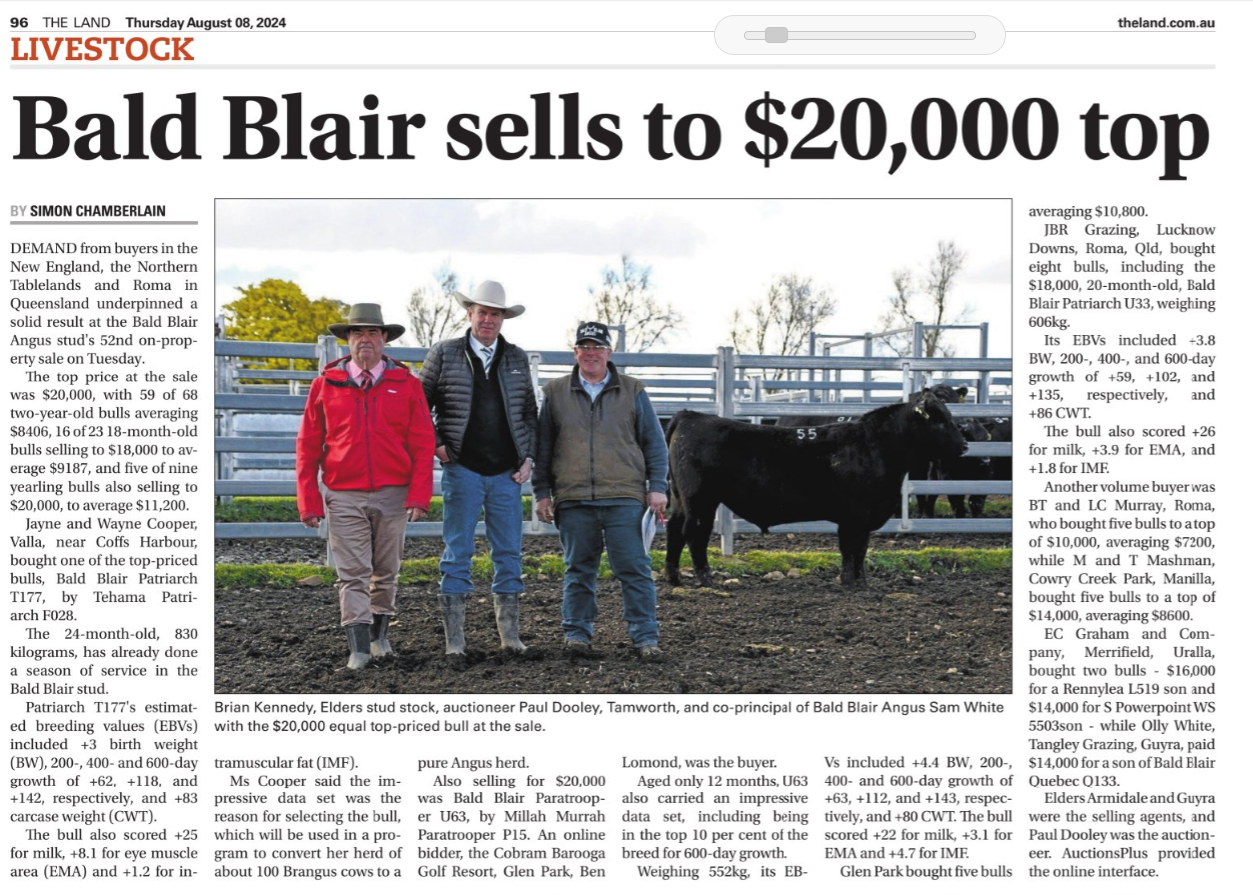 Bald Blair Angus Stud. Bull Sale Tuesday 5th August 2025.