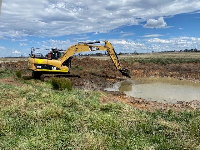 Bald Blair Angus Stud. Bull Sale Tuesday 5th August 2025.