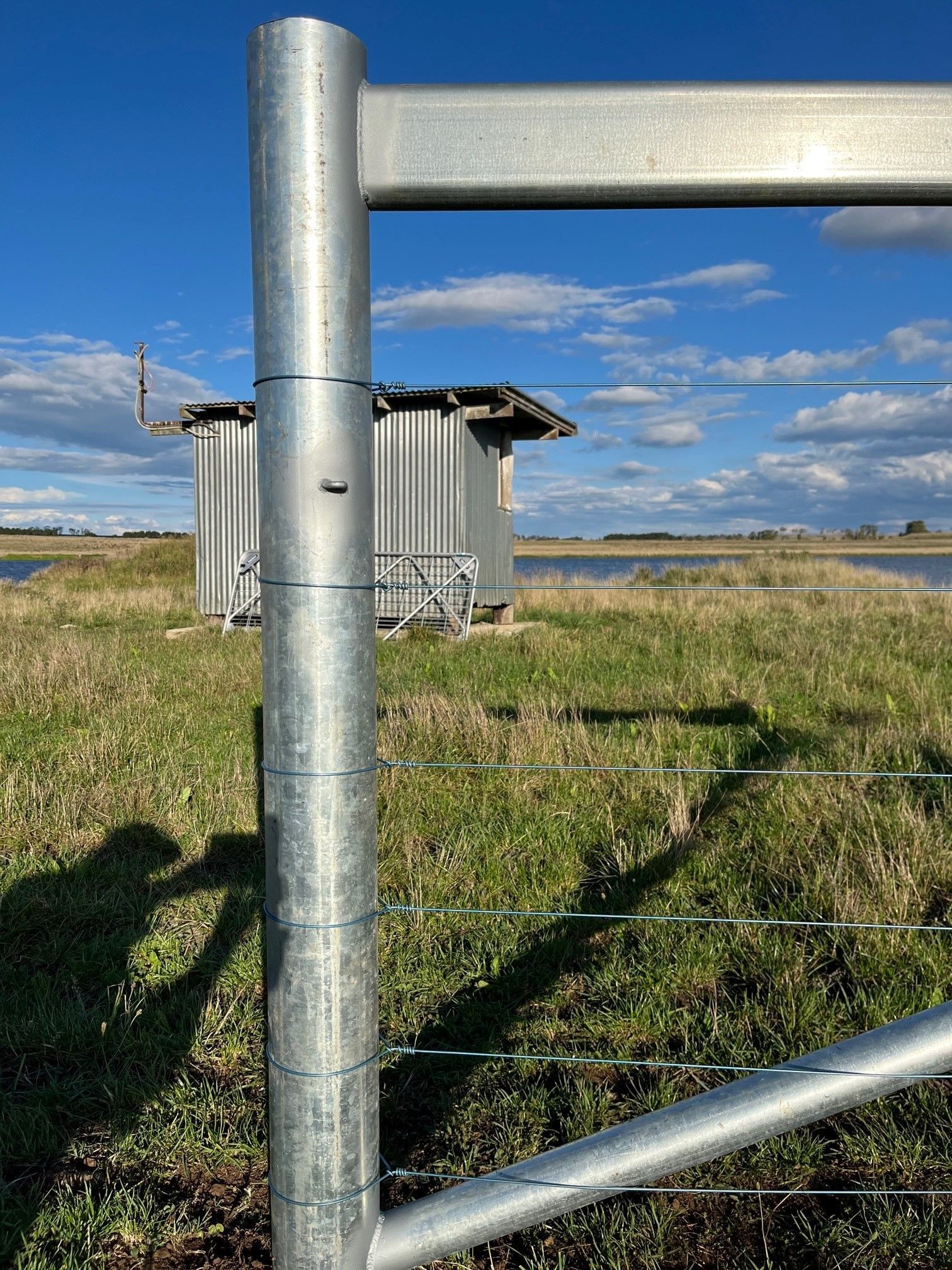 Bald Blair Angus Stud. Bull Sale Tuesday 5th August 2025.
