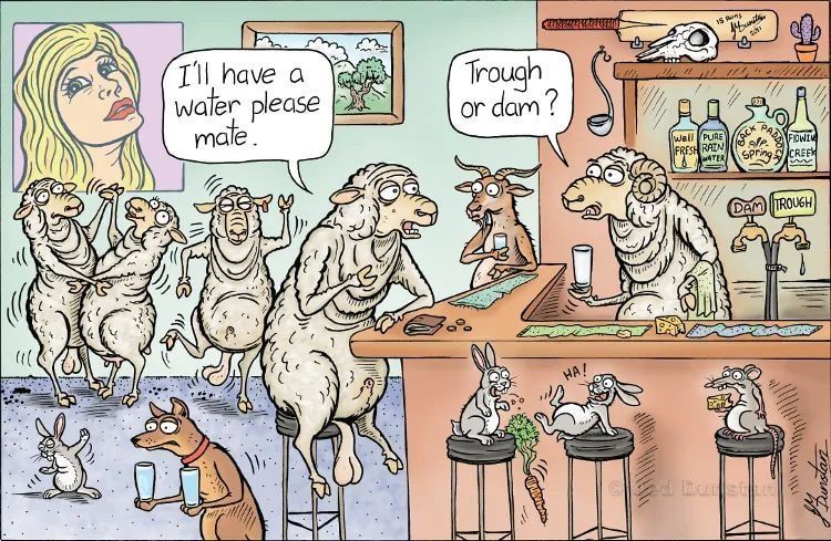 Bald Blair Angus Stud. Bull Sale Tuesday 5th August 2025.