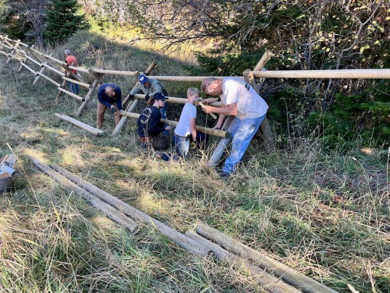 Volunteers Helping Out!