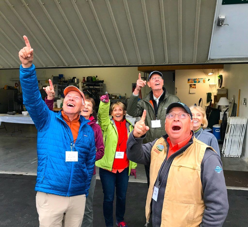 A group of people are pointing up in the air