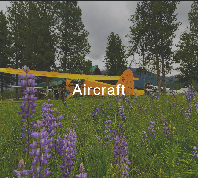 A yellow aircraft is parked in a field of purple flowers
