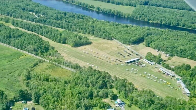 An aerial view of a river surrounded by trees and grass