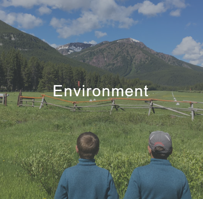 Two children are standing in a grassy field with the word environment above them