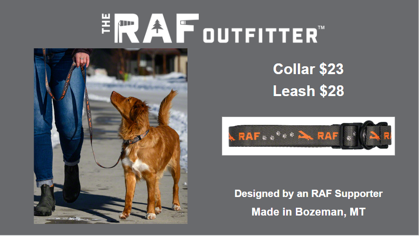 An advertisement for dog collars and leashes. Brown dog with a person on a sidewalk.
