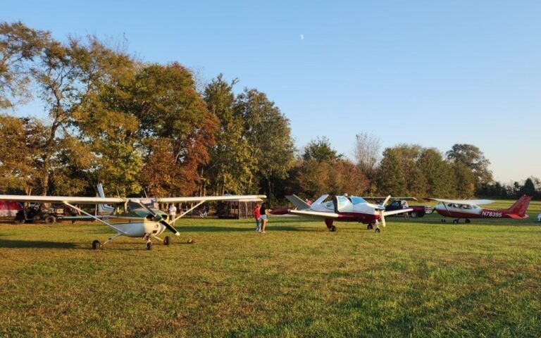 Several small planes are parked in a grassy field