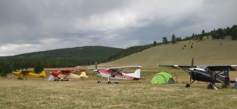 Several small planes are parked in a grassy field