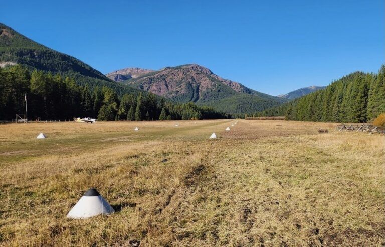 A field with a mountain in the background and trees in the foreground