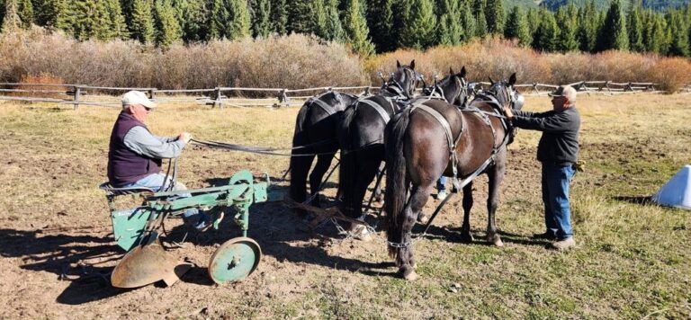 A man is plowing a field with two horses pulling a plow.