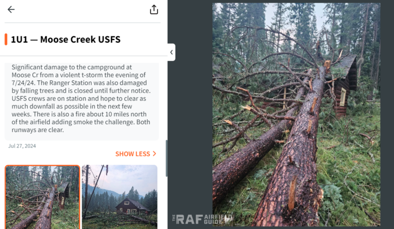 A fallen tree in the middle of a forest next to a house.