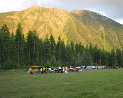 A row of planes are parked in a field with a mountain in the background